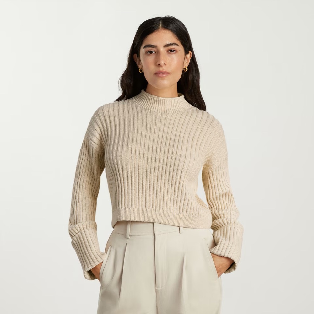 Everlane Cotton Ribbed Rollneck Sweater